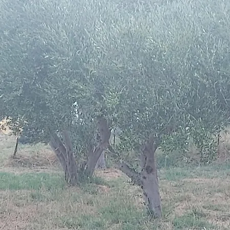 Principessa Tatil Evi