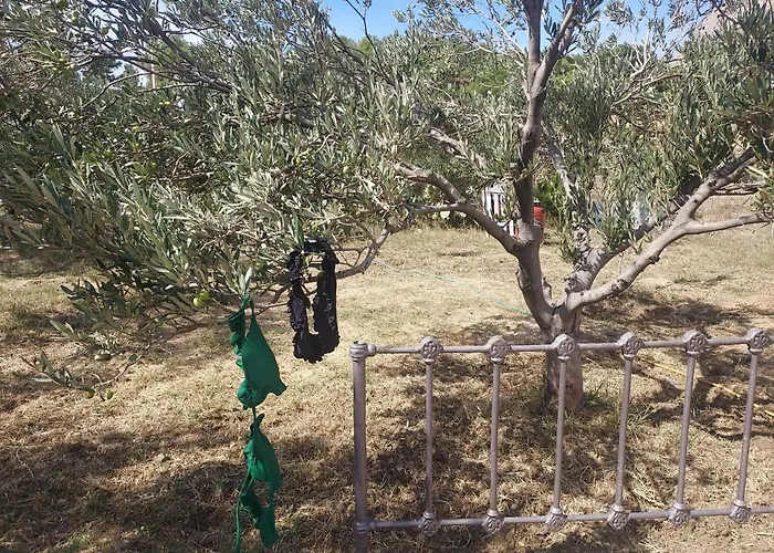 別荘 Principessa *