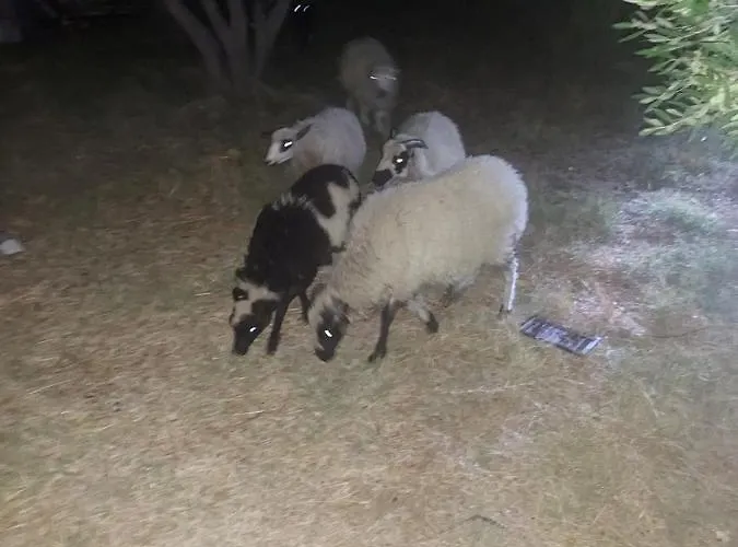 別荘 Principessa *