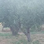 Principessa 別荘