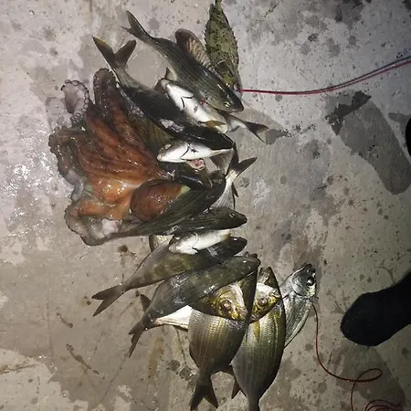 Principessa Nyaraló Télendosz