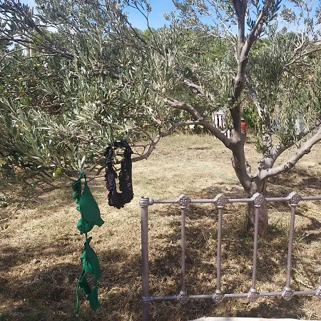 Nyaraló Principessa *