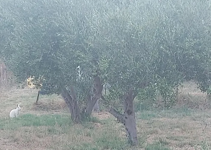 Principessa Case de vacanță