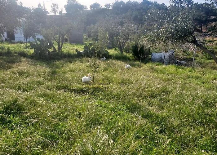 Principessa Case de vacanță