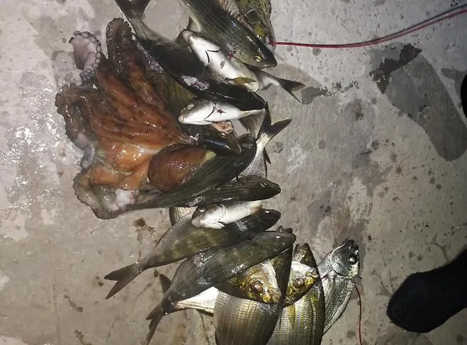 Principessa Case de vacanță Telendos