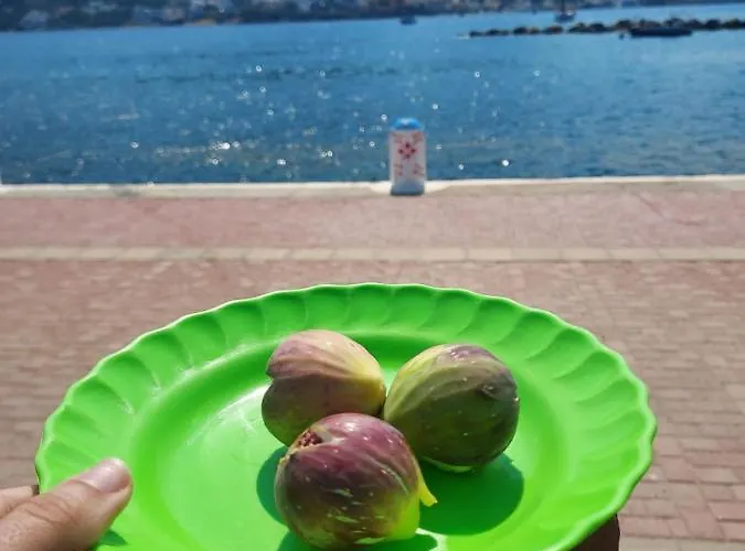 Principessa Case de vacanță